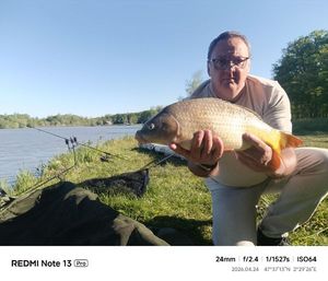 Common Carp