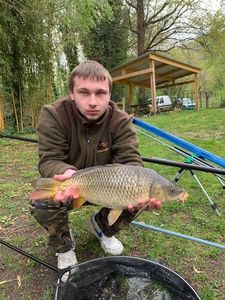 Common Carp