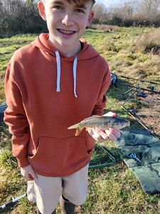 Mirror Carp