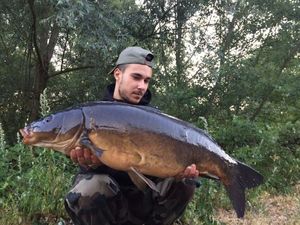 Mirror Carp