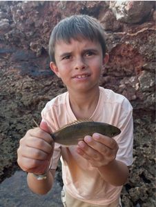 Salema
