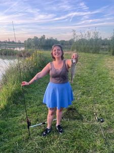 Rainbow Trout