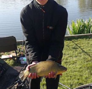 Tench