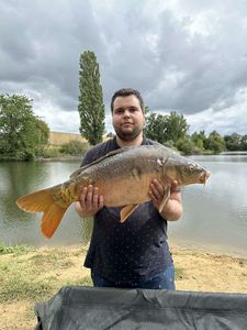 Mirror Carp