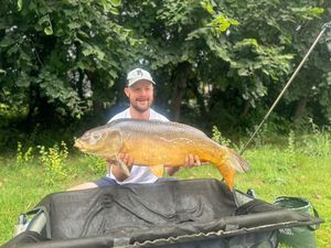 Mirror Carp