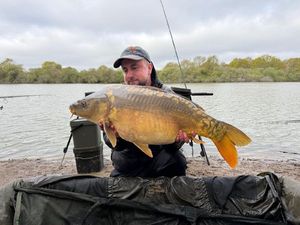 Mirror Carp