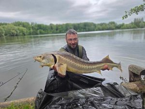 Starry Sturgeon