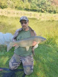 Grass Carp