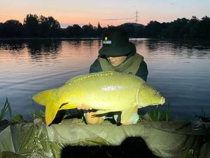 Mirror Carp