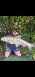 Grass Carp