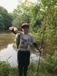 Largemouth Bass