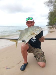 Crevalle Jack