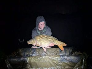 Common Carp