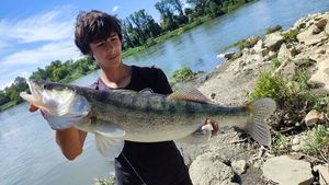Zander