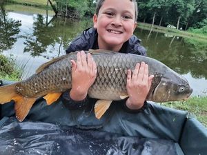Common Carp