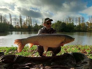 Grass Carp