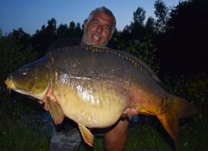 Mirror Carp