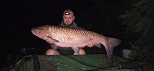 Grass Carp