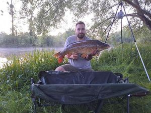 Common Carp