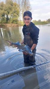 Sturgeon