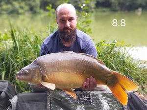 Mirror Carp
