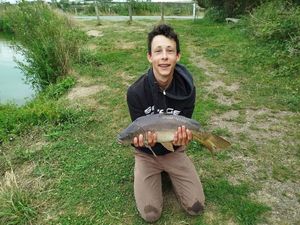 Mirror Carp