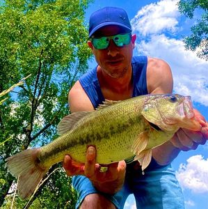 Largemouth Bass