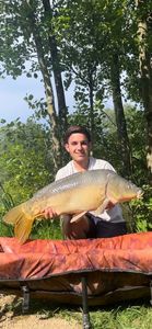 Mirror Carp