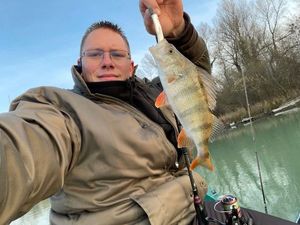 European Perch