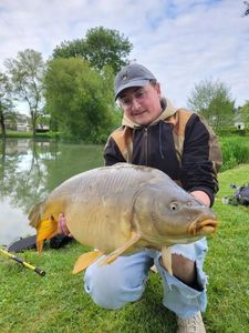 Mirror Carp