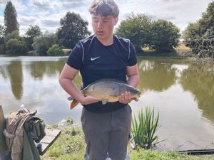 Mirror Carp