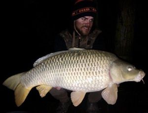 Common Carp, gefangen von Tanguy Demule
