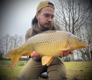 Common Carp