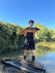 Common Carp