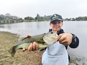 Largemouth Bass