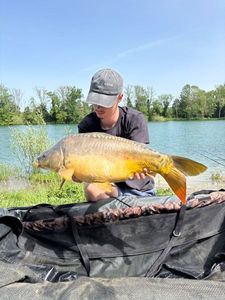 Leather Carp