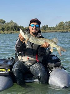 Northern Pike