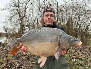 Mirror Carp