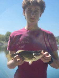 Largemouth Bass