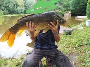 Mirror Carp