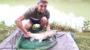 Silver Carp