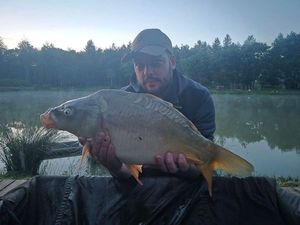 Mirror Carp
