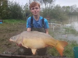Mirror Carp
