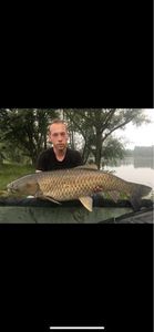 Grass Carp