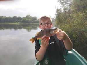 European Perch