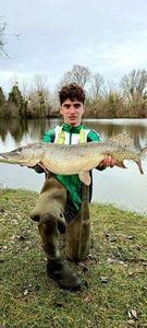 Northern Pike