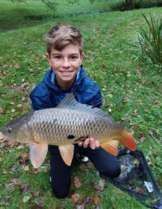 Common Carp