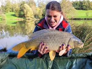 Common Carp