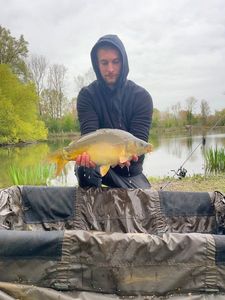Leather Carp
