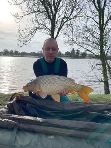 Common Carp